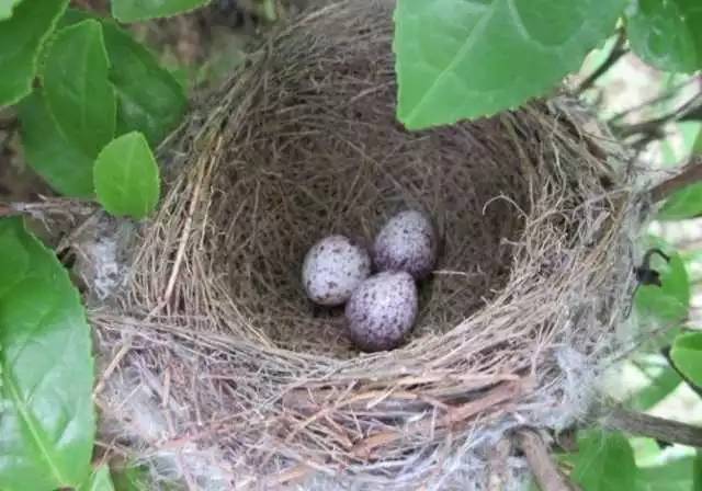 分享爱心,众享温情——华鑫集团工会开展“六一献爱心”活动(图32) 分享爱心,众享温情——华鑫集团工会开展“六一献爱心”活动(图32)