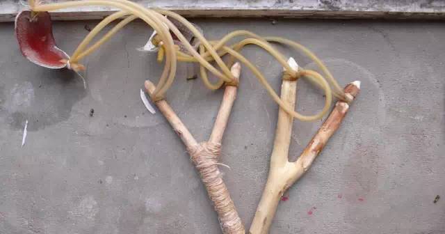 分享爱心,众享温情——华鑫集团工会开展“六一献爱心”活动(图64) 分享爱心,众享温情——华鑫集团工会开展“六一献爱心”活动(图64)